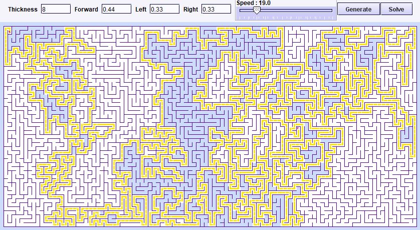 Amazing Maze Puzzle